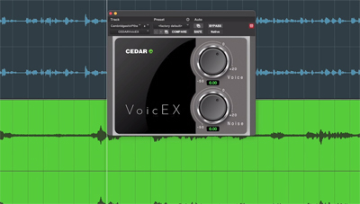 Cedar Audio voicEX Voice Extractor